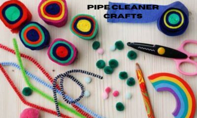 pipe cleaner crafts