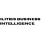 utilities business intelligence