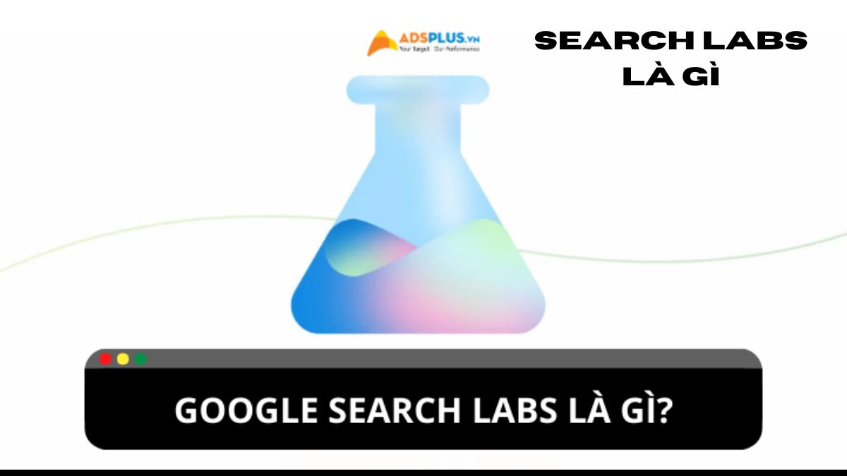 search labs là gì