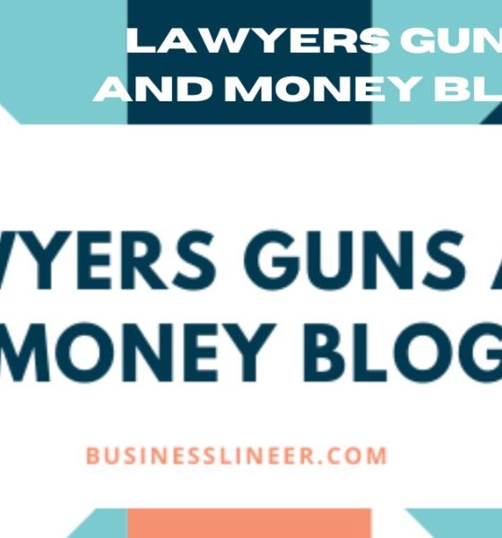 lawyers guns and money blog